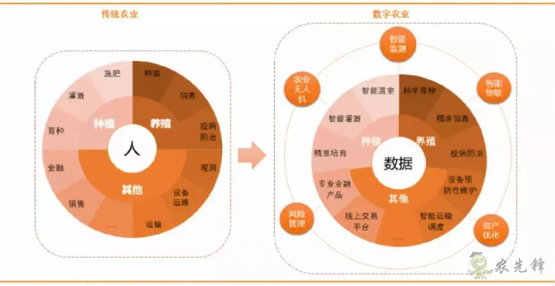 【重磅研究】中國數字農業的發展概況