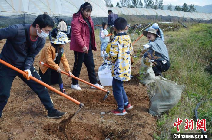 中法環境月:探索“混農林”可持續農業模式