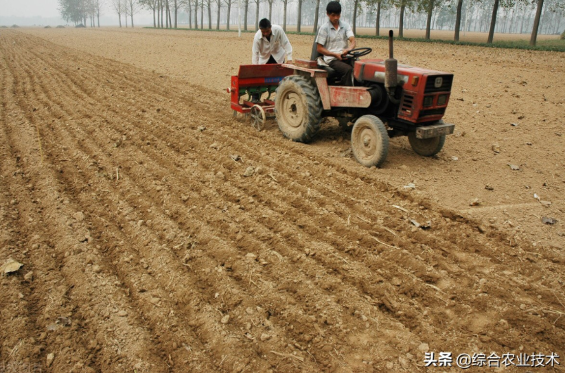 小麥播完種發(fā)現(xiàn)部分沒(méi)有蓋土，這樣還能發(fā)芽嗎？