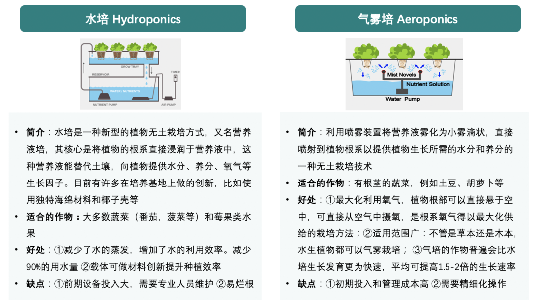 垂直農(nóng)業(yè)，一個可持續(xù)的未來？