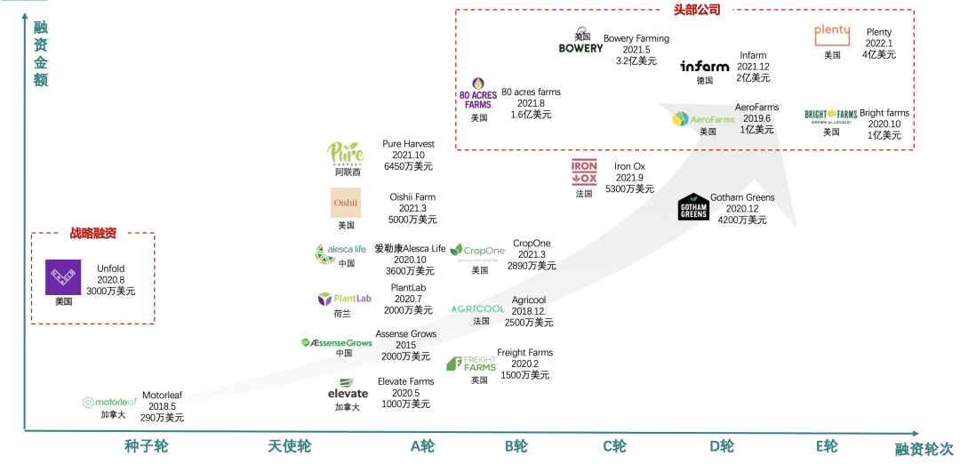 垂直農(nóng)業(yè)，一個可持續(xù)的未來？