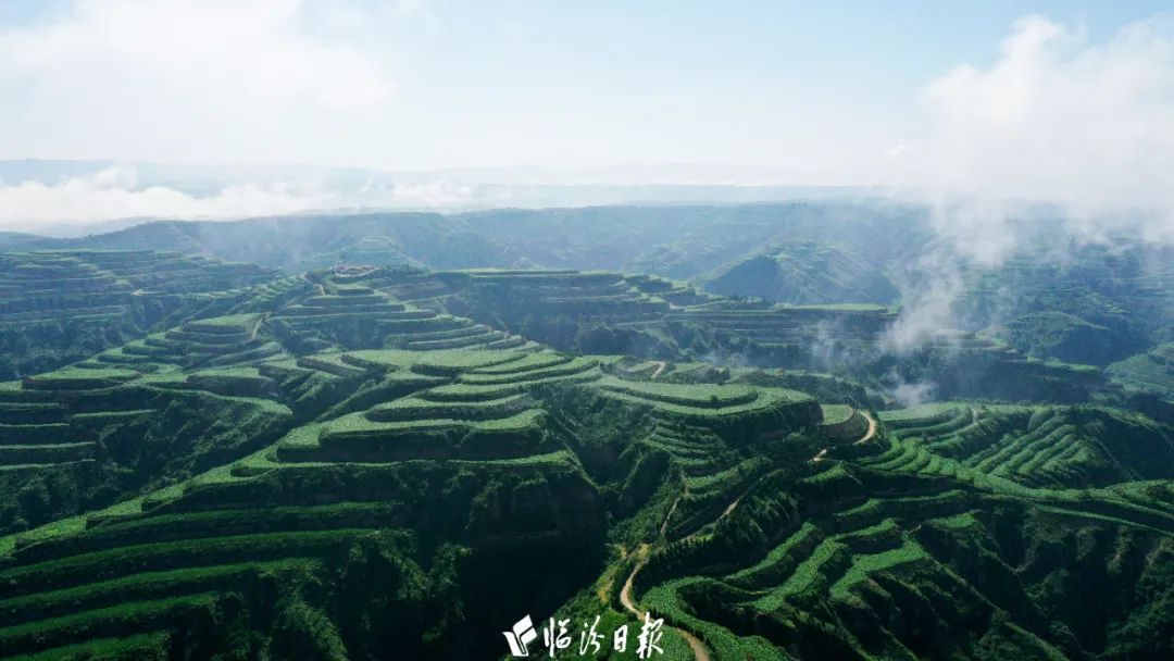 “永和模式”獲農業農村部點贊